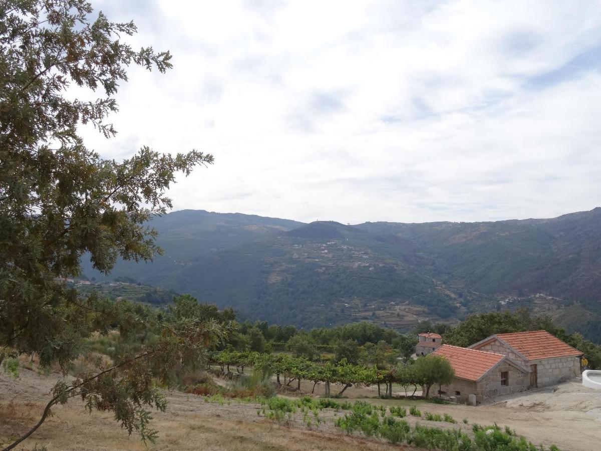 Вилла Quinta De S. Cipriano Резенде Экстерьер фото